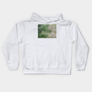 Spruce Kids Hoodie